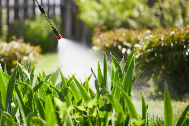 24/7 Emergency Wasp Removal experts in Lovell, WY